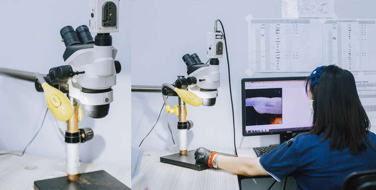 试验名称:渗透检验